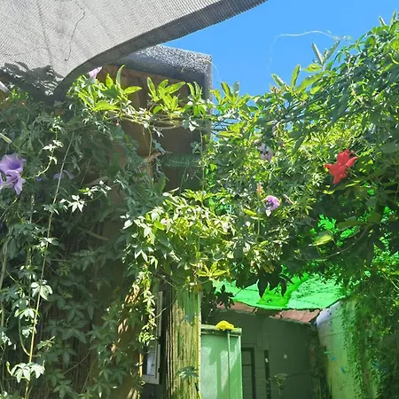 Casa De Madera Piscina En Roche *