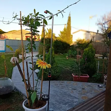 Casa De Madera Piscina En Roche Сasa de vacaciones *
