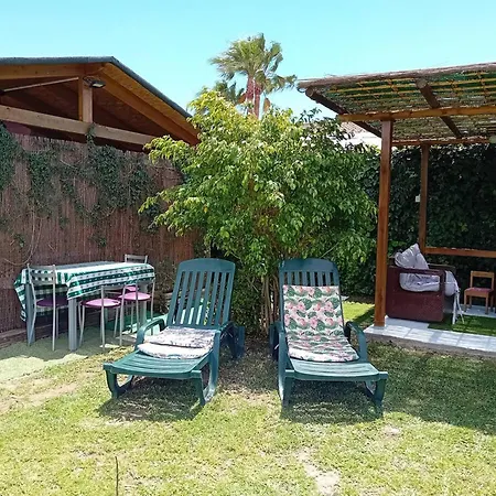 Casa De Madera Piscina En Roche Conil De La Frontera